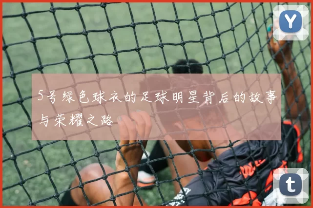 5号绿色球衣的足球明星背后的故事与荣耀之路