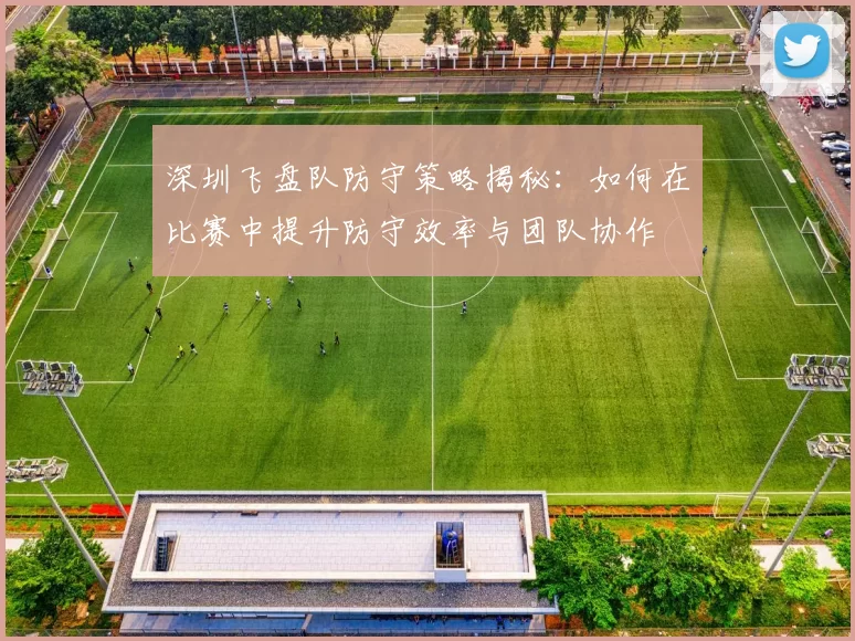 深圳飞盘队防守策略揭秘：如何在比赛中提升防守效率与团队协作