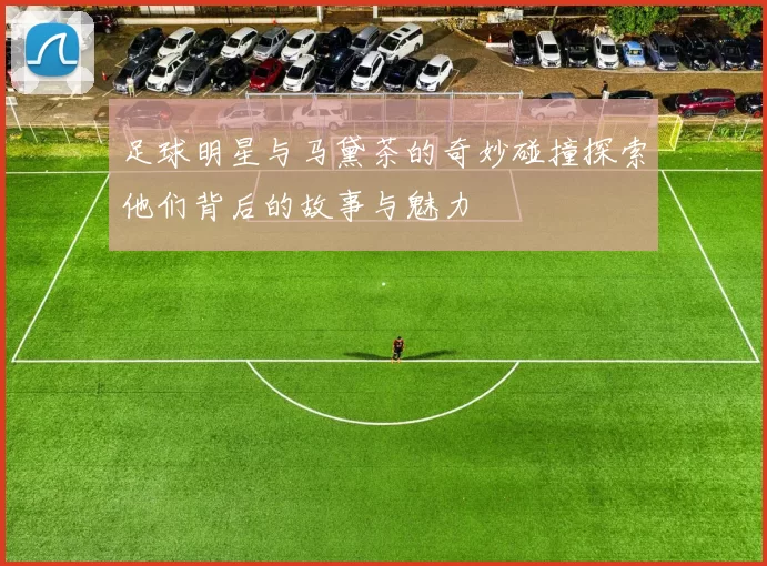 足球明星与马黛茶的奇妙碰撞探索他们背后的故事与魅力