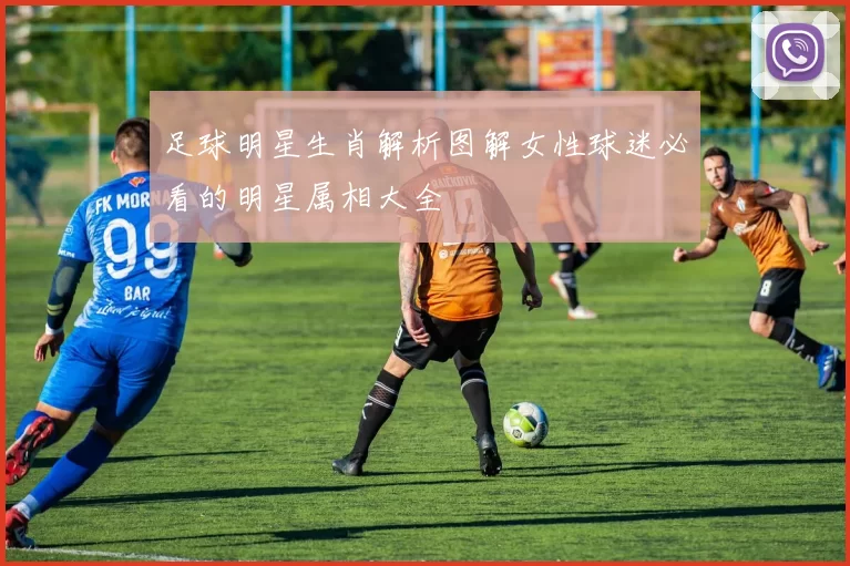 足球明星生肖解析图解女性球迷必看的明星属相大全
