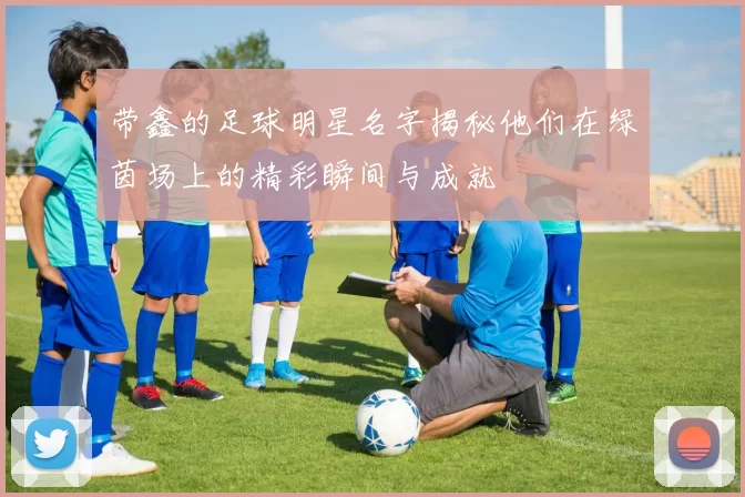 带鑫的足球明星名字揭秘他们在绿茵场上的精彩瞬间与成就
