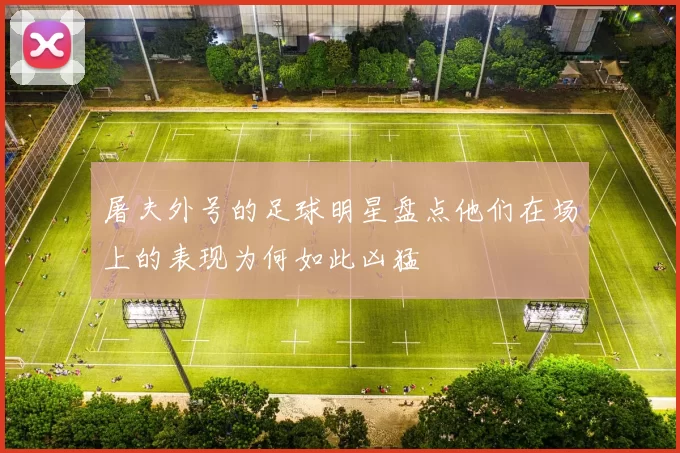屠夫外号的足球明星盘点他们在场上的表现为何如此凶猛