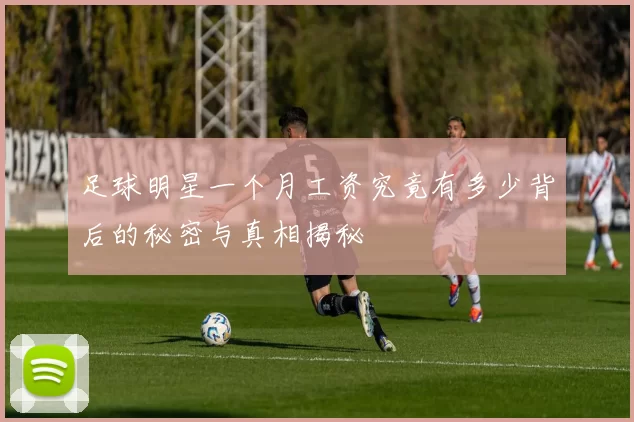 足球明星一个月工资究竟有多少背后的秘密与真相揭秘