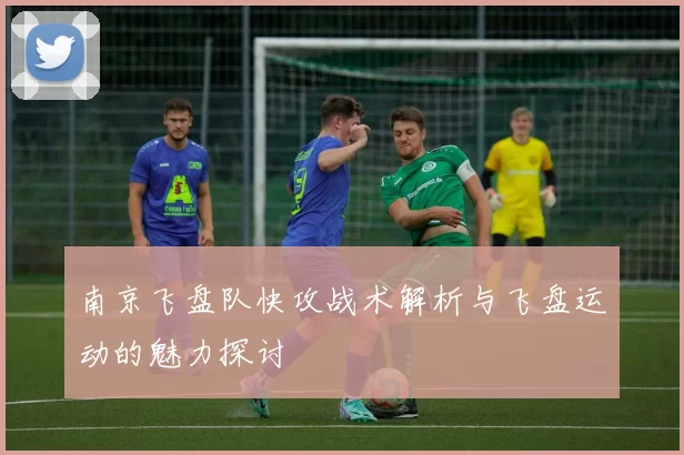 南京飞盘队快攻战术解析与飞盘运动的魅力探讨