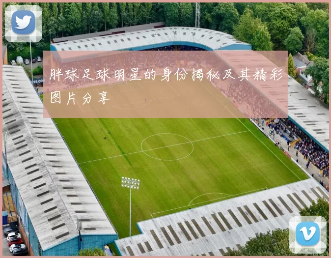 胖球足球明星的身份揭秘及其精彩图片分享