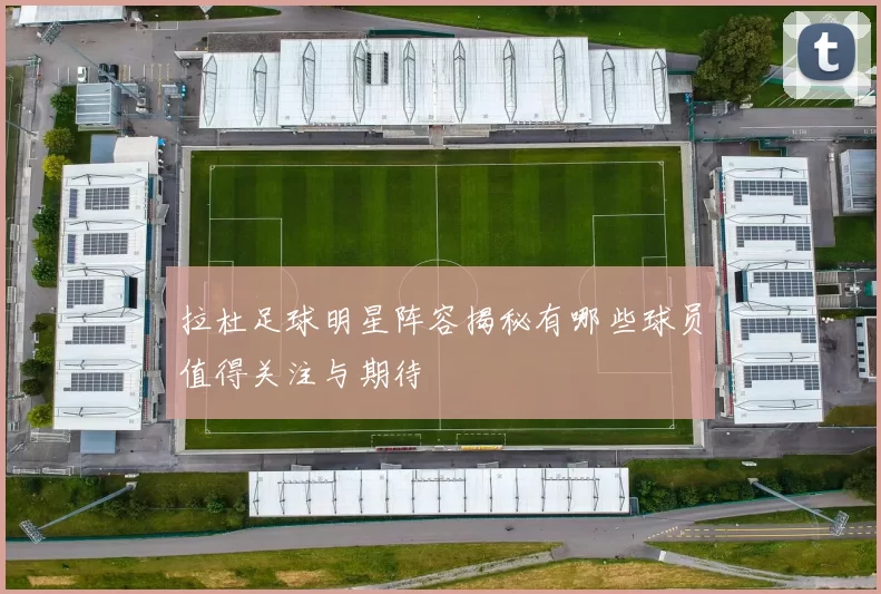 拉杜足球明星阵容揭秘有哪些球员值得关注与期待