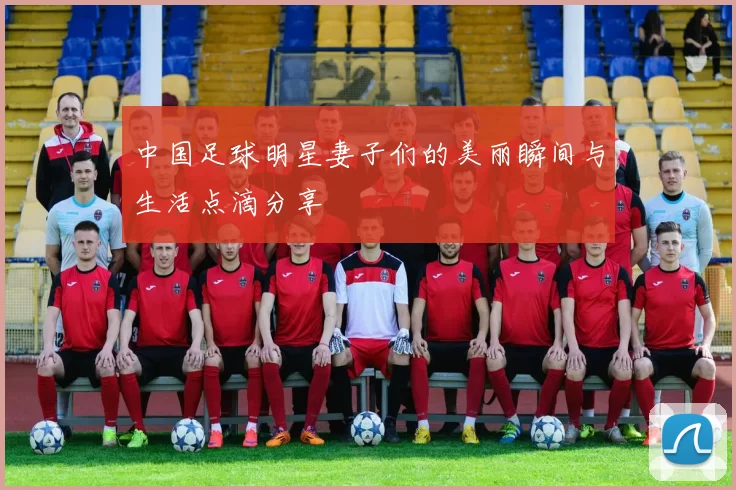 中国足球明星妻子们的美丽瞬间与生活点滴分享