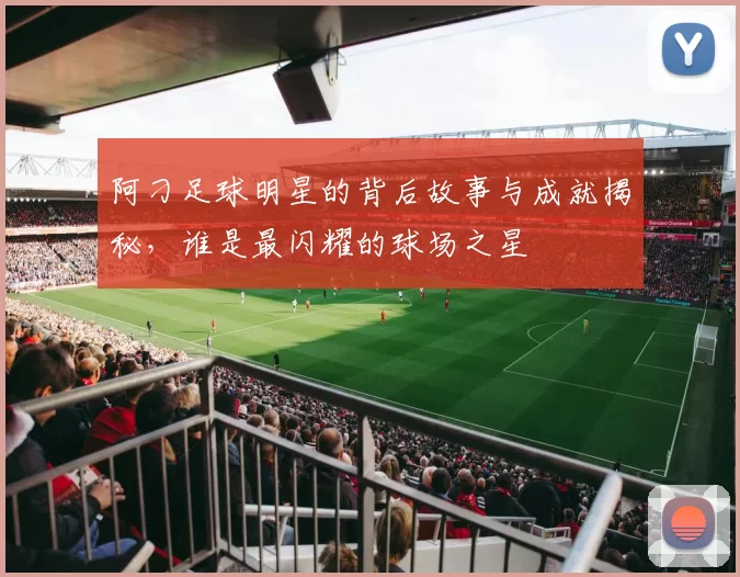 阿刁足球明星的背后故事与成就揭秘，谁是最闪耀的球场之星