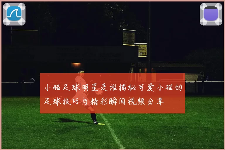 小猫足球明星是谁揭秘可爱小猫的足球技巧与精彩瞬间视频分享