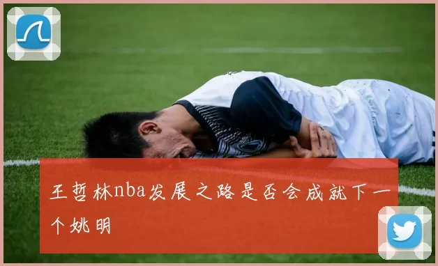 王哲林nba发展之路是否会成就下一个姚明