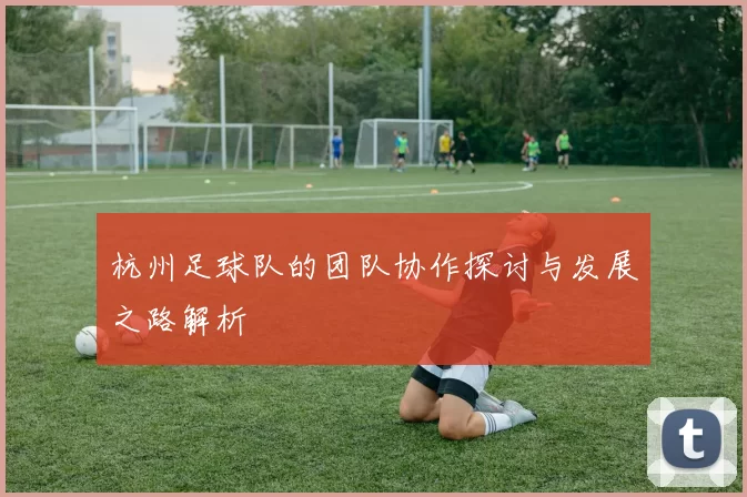 杭州足球队的团队协作探讨与发展之路解析