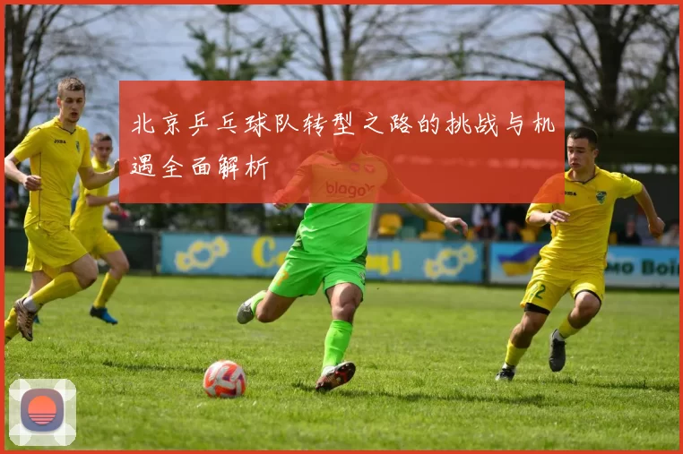 北京乒乓球队转型之路的挑战与机遇全面解析