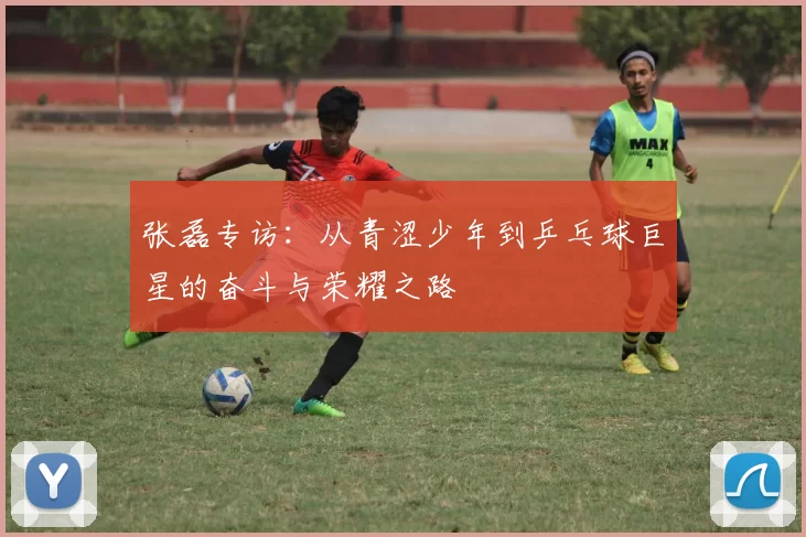张磊专访：从青涩少年到乒乓球巨星的奋斗与荣耀之路