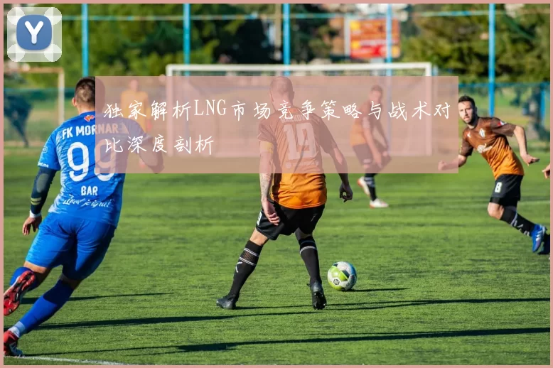 独家解析LNG市场竞争策略与战术对比深度剖析